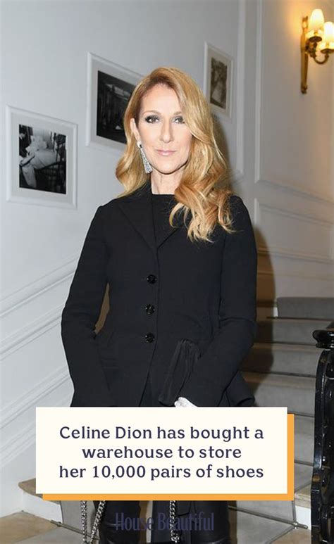 celine dion shoes storage|Celine Dion shoe store.